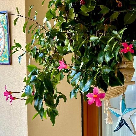 Apartment Se121 - Senigallia, Delizioso Bilocale In Zona Servita *